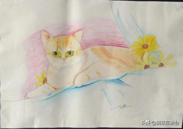 简单的申请书怎样写，咋样写申请书