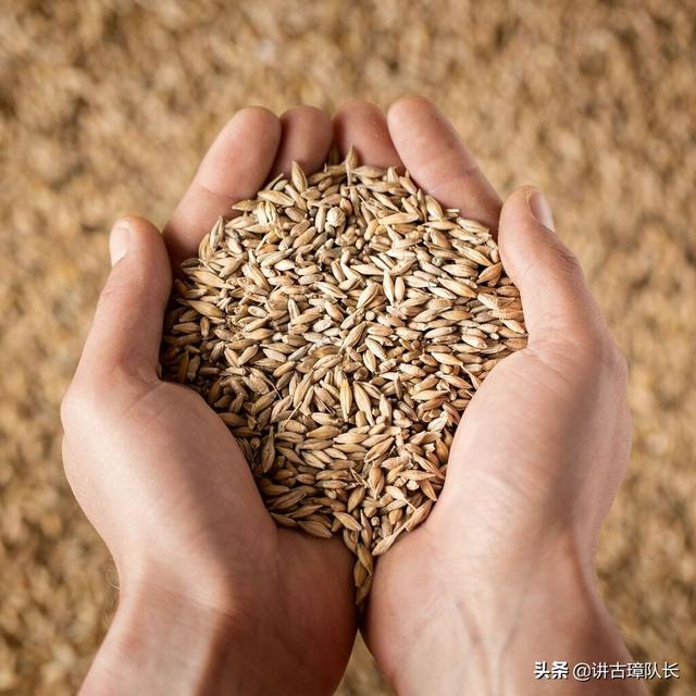 美国孟山都公司简介视频，美国孟山都公司在做什么