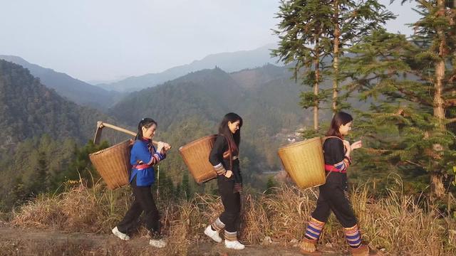 瑶浴加盟费多少钱，瑶浴加盟店