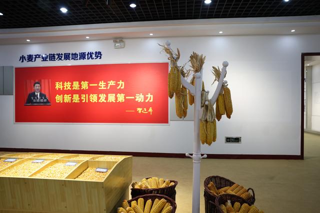 河南篇：周口的担当和困惑