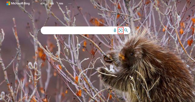 在线识图查图片来源，图片识别在线图片识别