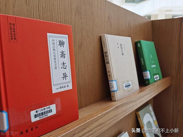 大学生调查报告模板及范文2000字，大学生调查报告模板及范文800字