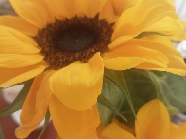 唯美短句英文5个字以内，好听的英文句子简短5字