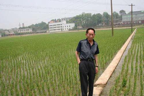 袁隆平说吸烟的好处，袁隆平对吸烟的看法