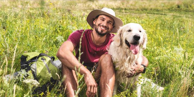 021高清图跑狗今期，2021年高清跑狗图第1期"