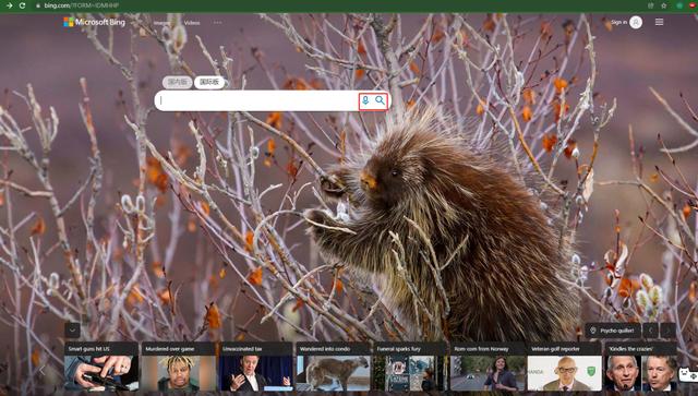 在线识图查图片来源，图片识别在线图片识别