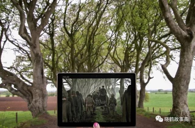 收视率最高的电视剧排行榜前十名2022,收视率最高的电视剧排行榜前十名2022年