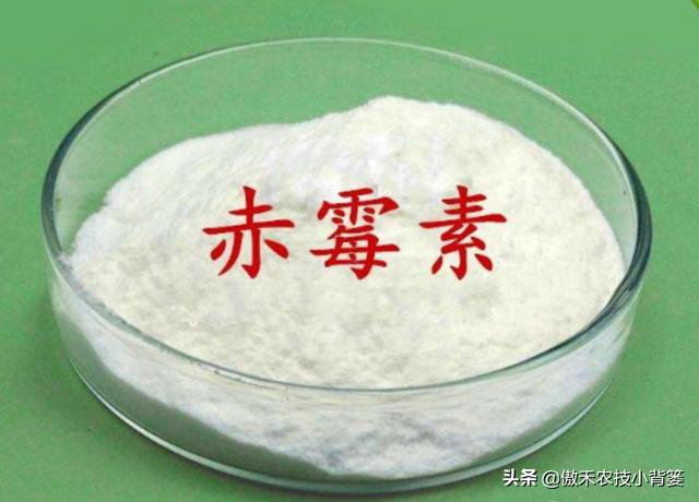 赤霉酸的作用和使用方法，赤霉酸干什么用的