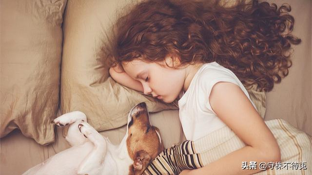 4个冷知识：真实存在于世界，见过或许不是那么了解的有趣事实"