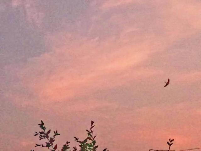 唯美短句英文5个字以内，好听的英文句子简短5字