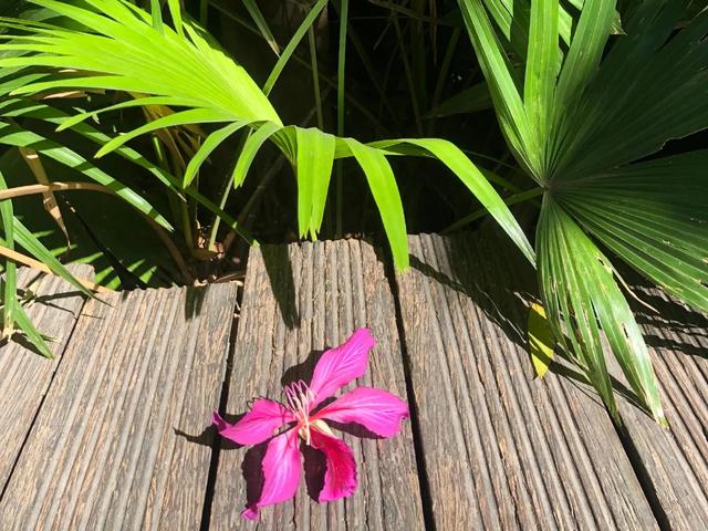 唯美短句英文5个字以内，好听的英文句子简短5字