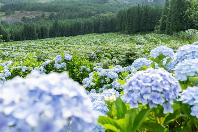 什么叫办公室油子,什么叫办公室油子_