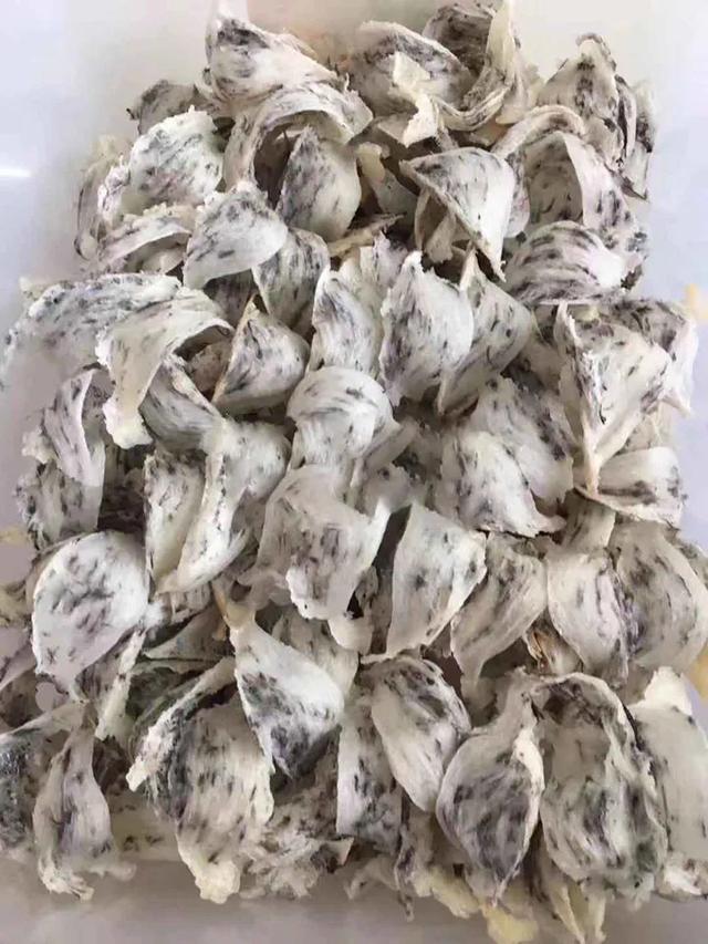 燕窝是什么东西怎么形成的儿童可以吃葛根吗，燕窝是什么东西怎么形成的中药冷却后可以用塑料瓶装吗