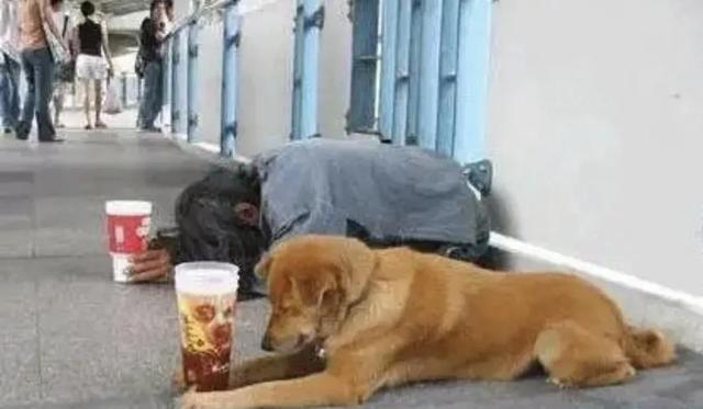 乞丐图片拿碗的图片女原图，乞丐图片拿碗的图片女最火老太太