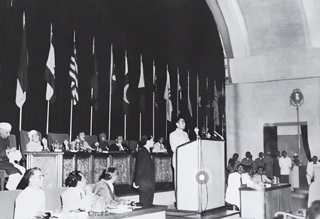 骨肉之情打一个生肖，骨肉之情的生肖