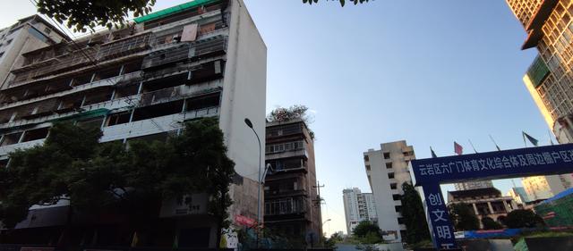 免费星力代理，星力平台好代理吗