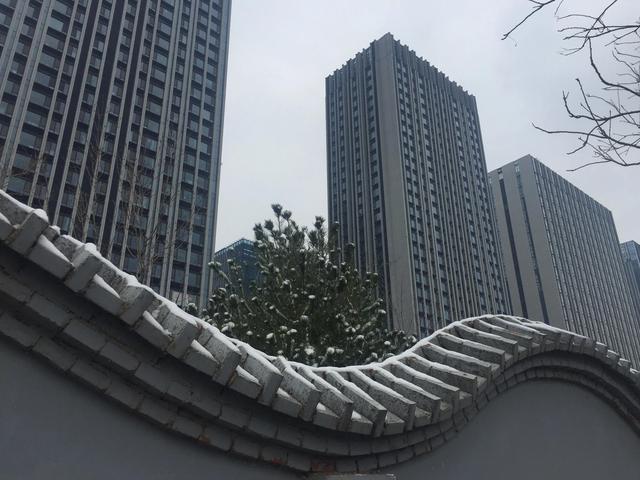 现代诗歌精选300首短诗冰心，现代诗歌精选300首短诗关于雪的