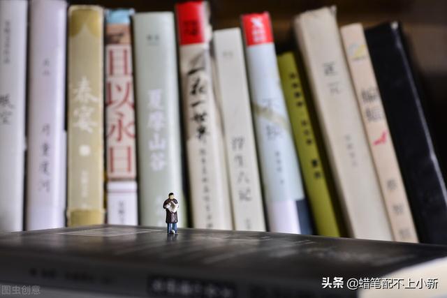 大学生调查报告模板及范文2000字，大学生调查报告模板及范文800字