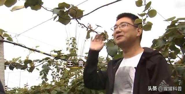 十足全蝎养殖加盟，全蝎养殖加盟骗局