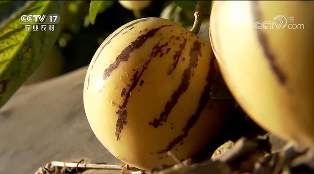 欠债90万怎样翻身,欠债30万做什么能翻身