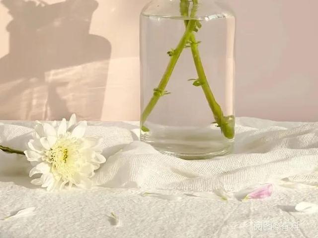 唯美短句英文5个字以内，好听的英文句子简短5字