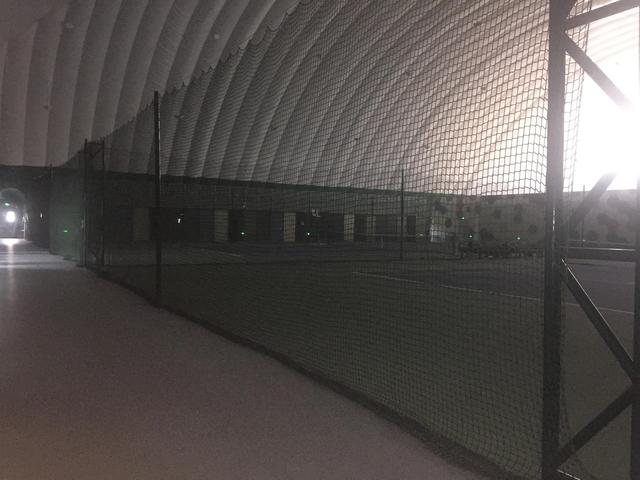 现代诗歌精选300首短诗冰心，现代诗歌精选300首短诗关于雪的