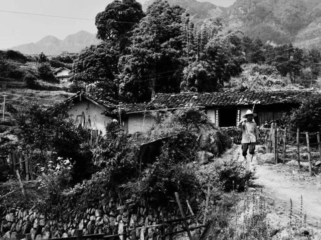 村长的那些事儿，村长的村的