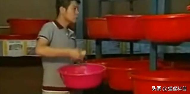 十足全蝎养殖加盟，全蝎养殖加盟骗局