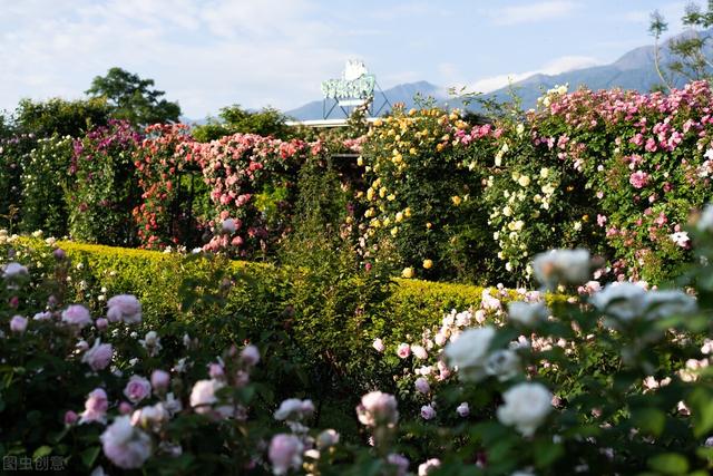 什么叫办公室油子,什么叫办公室油子_