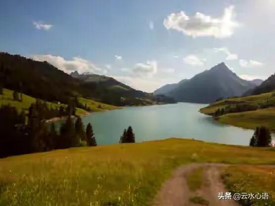 现代诗歌精选300首短诗冰心，现代诗歌精选300首短诗关于雪的