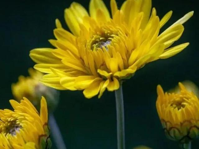 唯美短句英文5个字以内，好听的英文句子简短5字