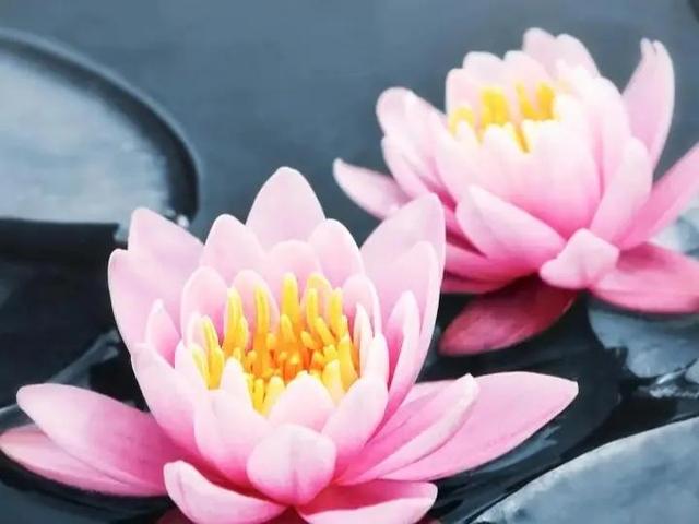 唯美短句英文5个字以内，好听的英文句子简短5字