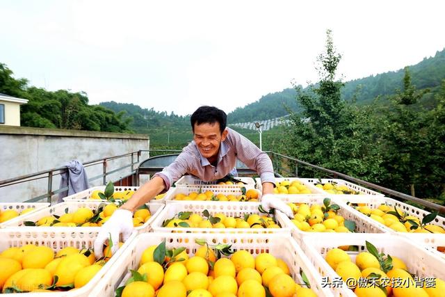 赤霉酸的作用和使用方法，赤霉酸干什么用的