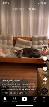 小视频软件哪个好看点的，小视频软件哪个好看点的多