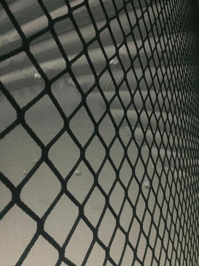 现代诗歌精选300首短诗冰心，现代诗歌精选300首短诗关于雪的