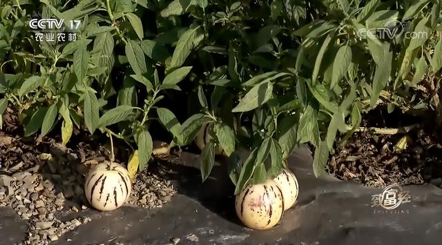 欠债90万怎样翻身,欠债30万做什么能翻身