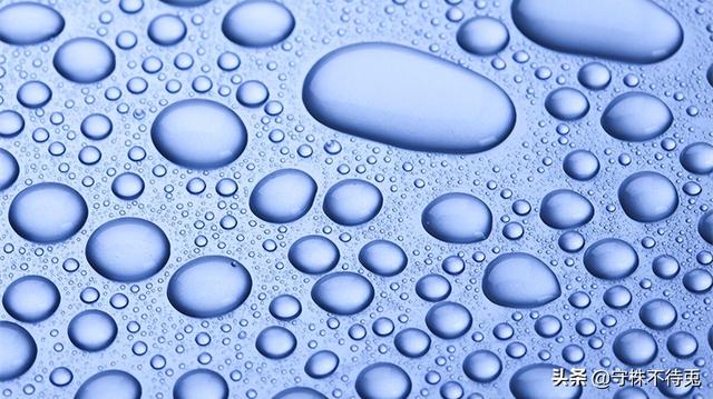 4个冷知识：真实存在于世界，见过或许不是那么了解的有趣事实"