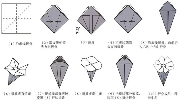 儿童折纸大全100种暗器，儿童折纸大全100种河花