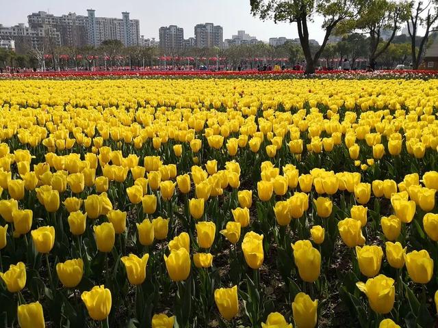 面试中要注意的10个细节，大大提高面试成功率