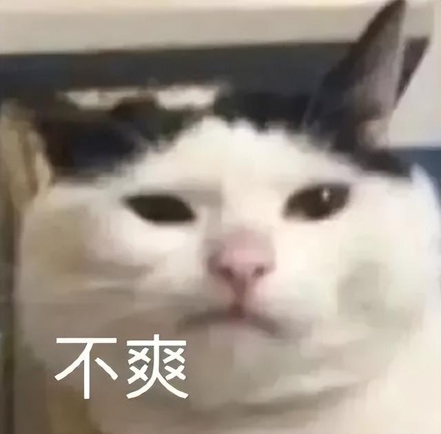 获客成本什么意思（客我的名词解释）