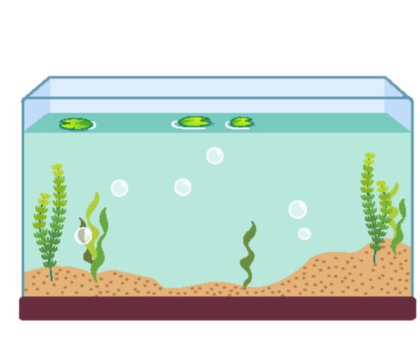 看病人忌讳送三类水果，看病人不适合送什么水果
