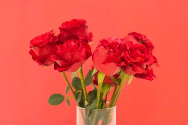 生日红包仪式感1到10祝福语,生日红包仪式感1到10祝福语闺蜜