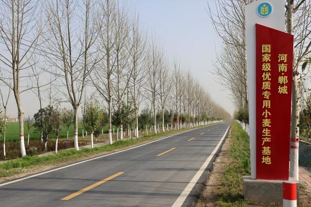 河南篇：周口的担当和困惑