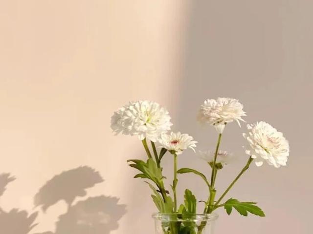 唯美短句英文5个字以内，好听的英文句子简短5字