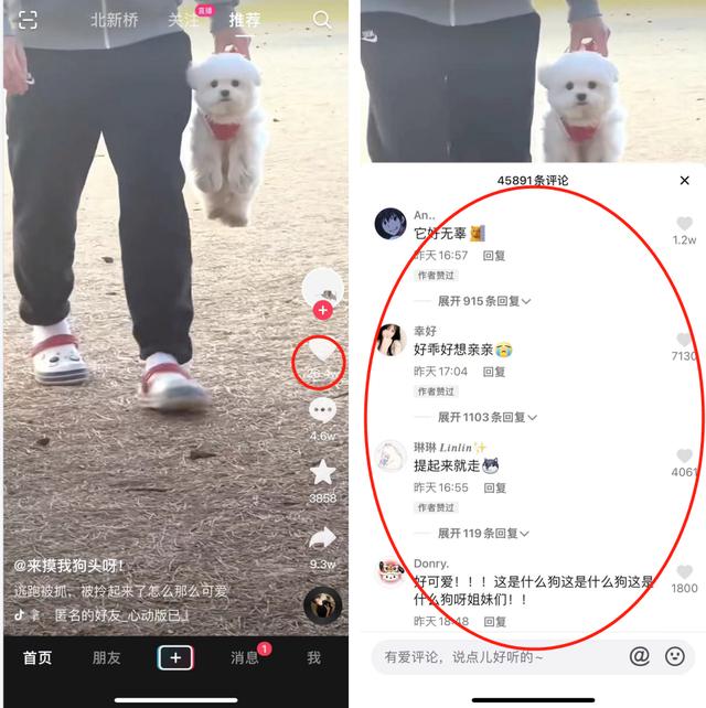 抖音获客成本6元（抖音获客成本怎么算）