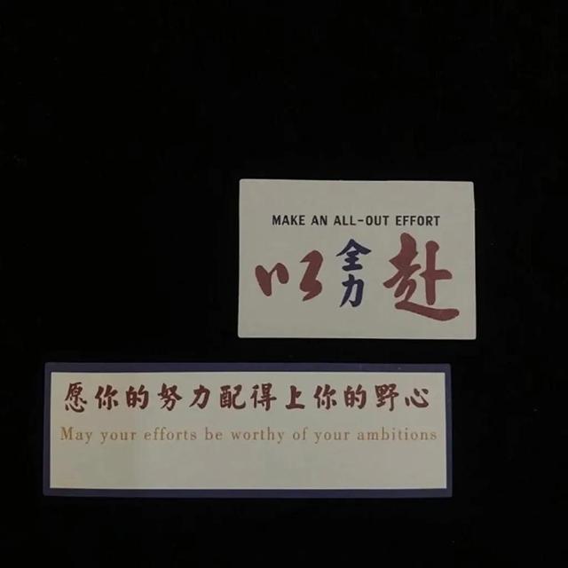 会计顶岗实习周记，财务会计顶岗周记100篇通用