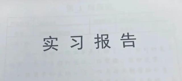 会计顶岗实习周记，财务会计顶岗周记100篇通用