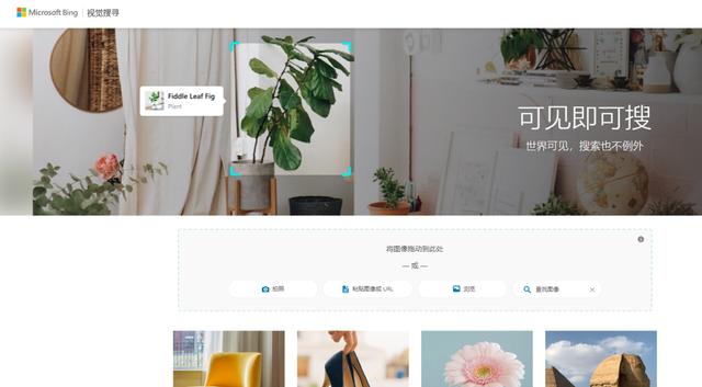 在线识图查图片来源，图片识别在线图片识别