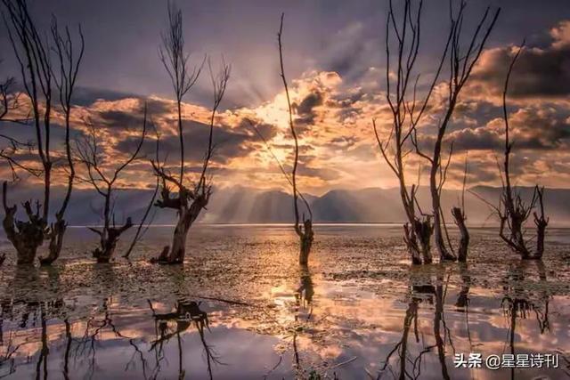 现代诗歌精选300首短诗冰心，现代诗歌精选300首短诗关于雪的