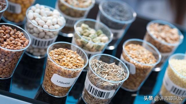 美国孟山都公司简介视频，美国孟山都公司在做什么